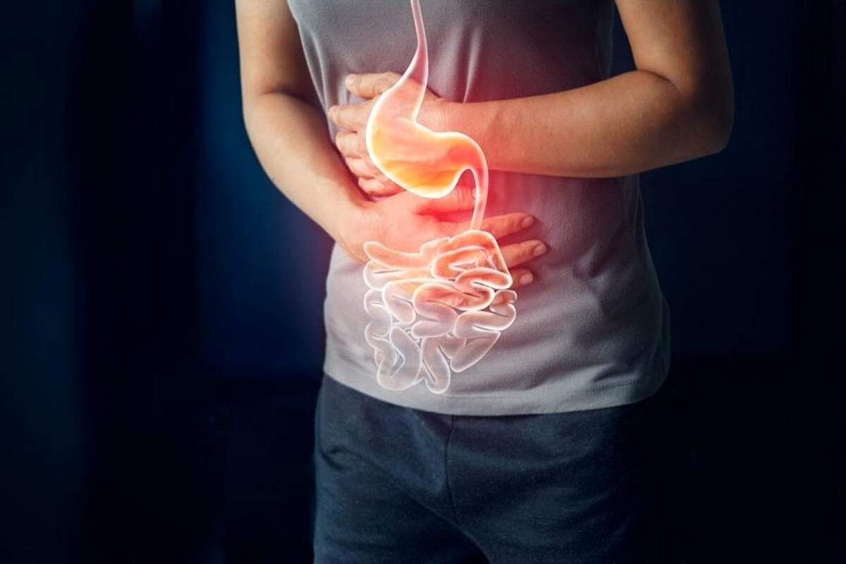 این ساندویچ‌ها را از بیرون نخرید/ توصیه‌های مینو محرز